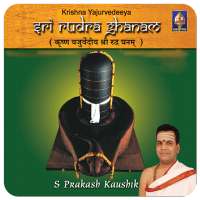 Sri Rudra Ghanam(offline) on 9Apps