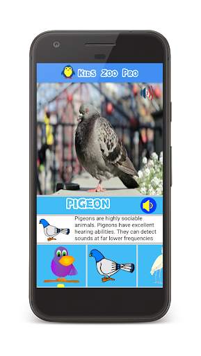 Kids Zoo : Animal Video and Sound screenshot 1