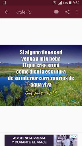 Promesas Bíblicas e Imágenes Cristianas screenshot 4