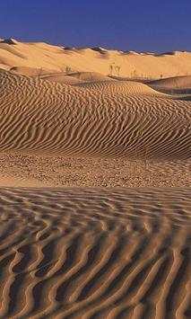 Desert Wallpapers screenshot 1