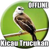 Suara Burung Trucukan Gacor 1.0