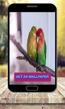Pair Of Birds Wallpapers – Birds Couple Wallpapers स्क्रीनशॉट 2