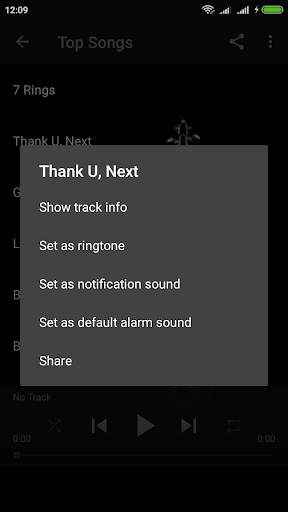 Ariana Grande All Songs Offline screenshot 2
