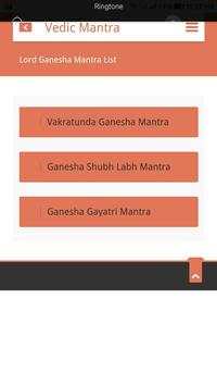 Vedic Mantra screenshot 2