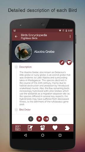 Birds Encyclopedia Offline App screenshot 4
