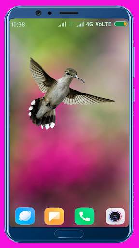 Bird Wallpaper Best 4K स्क्रीनशॉट 10