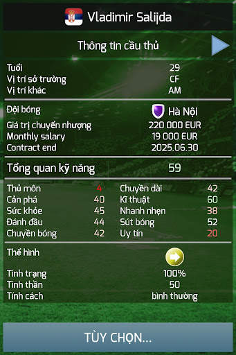 True Football 3 screenshot 12