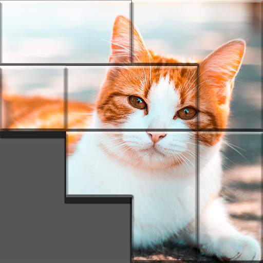 Pieces Pictures 1.0.5