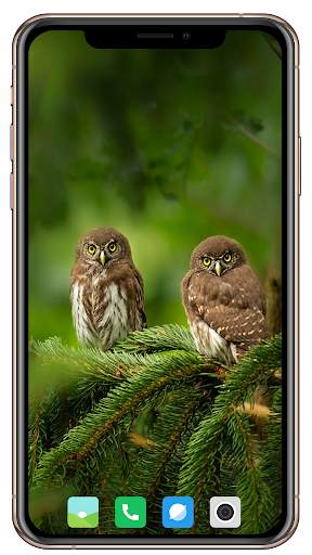 Bird HD Wallpaper screenshot 8