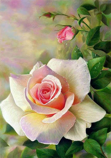 Rose Wallpaper screenshot 6