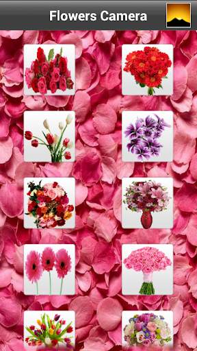 Flowers Camera screenshot 8
