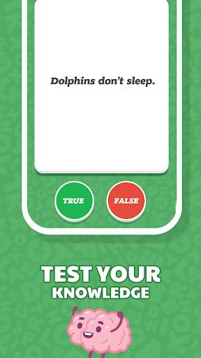 True or False Quiz app - Is That True? screenshot 2