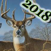 2018 DEER HUNTER CLASSIC All Tricks on 9Apps
