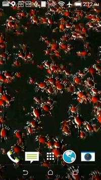 Crabs 3D Wallpaper screenshot 6