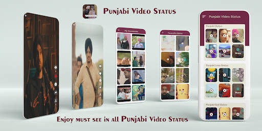 Punjabi Video Status screenshot 1