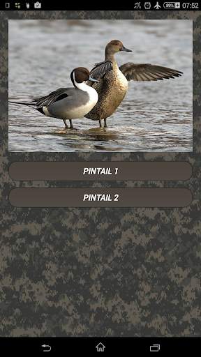 Duck hunting calls screenshot 1