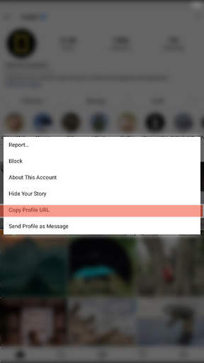 HD Profile Picture Viewer screenshot 2