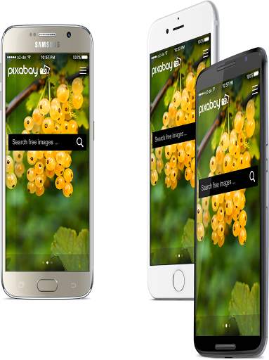 pixabay video screenshot 7