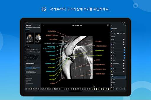 vet-Anatomy screenshot 13