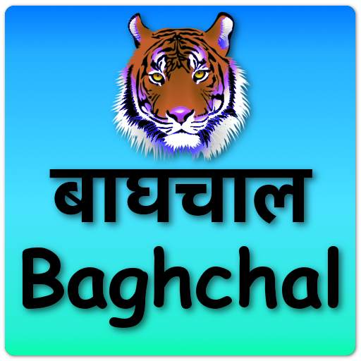 Baghchal Game screenshot 3
