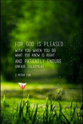 Bible Daily Verses screenshot 7