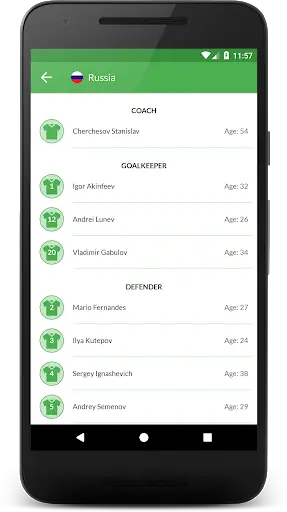 World Cup 2018 screenshot 6