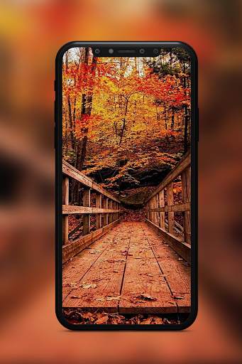Autumn Wallpaper screenshot 5