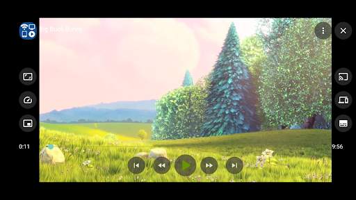 Cast to TV  Chromecast Roku TV screenshot 24