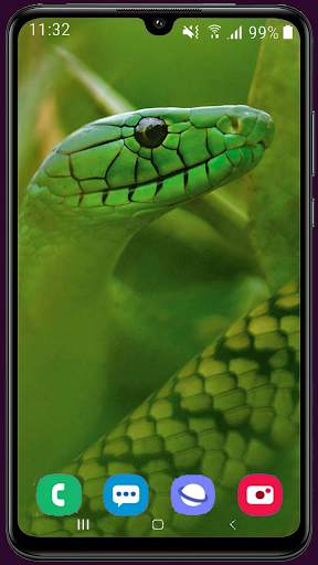Snake Wallpaper Best HD screenshot 6