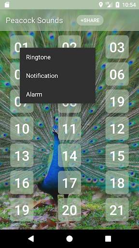 Peacock (Animal) Sounds screenshot 2