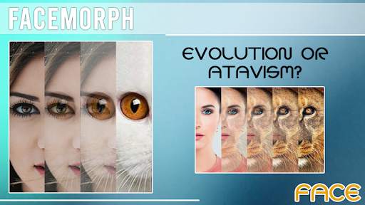 Face Morphing screenshot 4