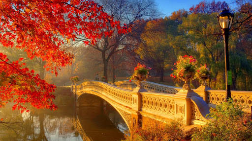 Autumn Live Wallpaper (wallpapers & backgrounds) screenshot 8