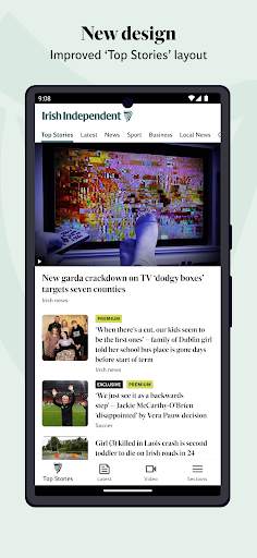 Irish Independent News screenshot 1