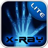X-Ray scanner 1.1