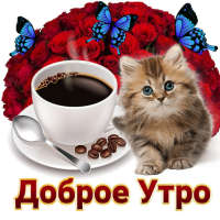 Открытки на все случаи жизни logo