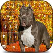 Forest pitbull keyboard theme 10.2