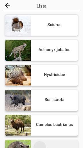 Mamíferos - ¡Aprende todos los animales en Quiz! screenshot 3