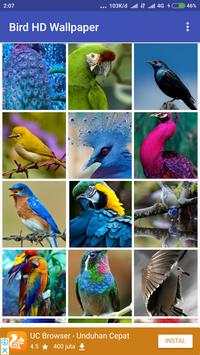 Bird Wallpaper screenshot 1