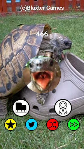 Aaah! Funny Turtle Sounds and Piano screenshot 2