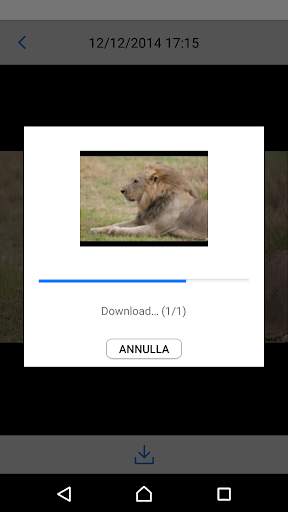 Canon Connect Station screenshot 4