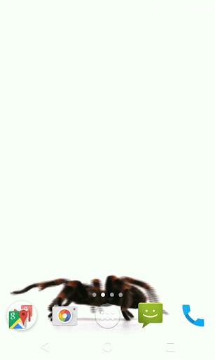 Spider Video Live Wallpaper screenshot 2