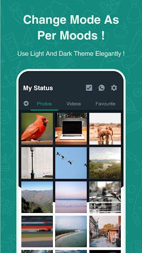 Auto Status Saver & DirectChat screenshot 5