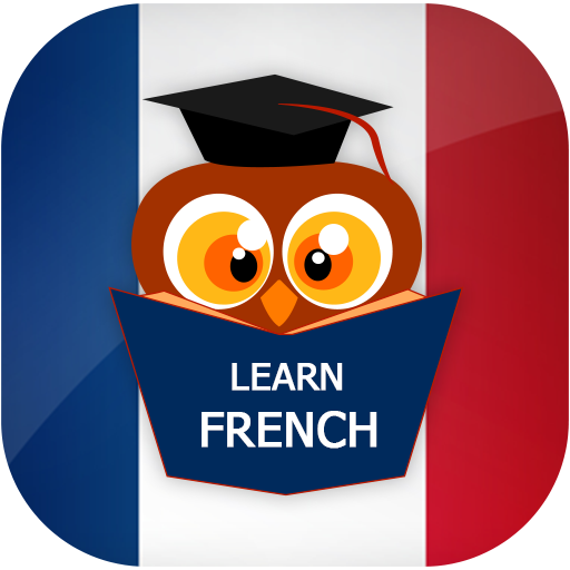 Learn French Free For Beginners icon