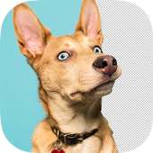 Photo Cut Studio X on 9Apps