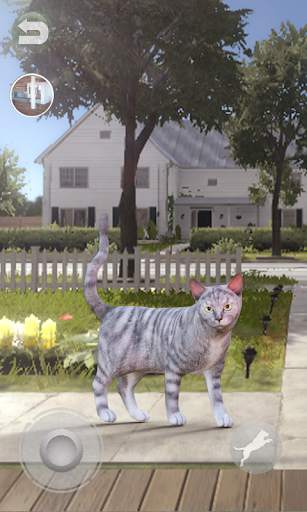 Talking Tabby Cat screenshot 6