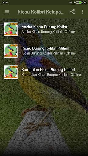 Suara Kolibri Kelapa Gacor screenshot 2