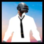 Guide for PUBG Mobile 1.1