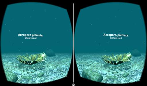 MX VR Arrecifes 2 تصوير الشاشة