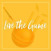 IPL Game Play 1.2