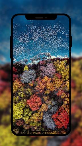 HD Wallpaper & 4k Wallpaper screenshot 9